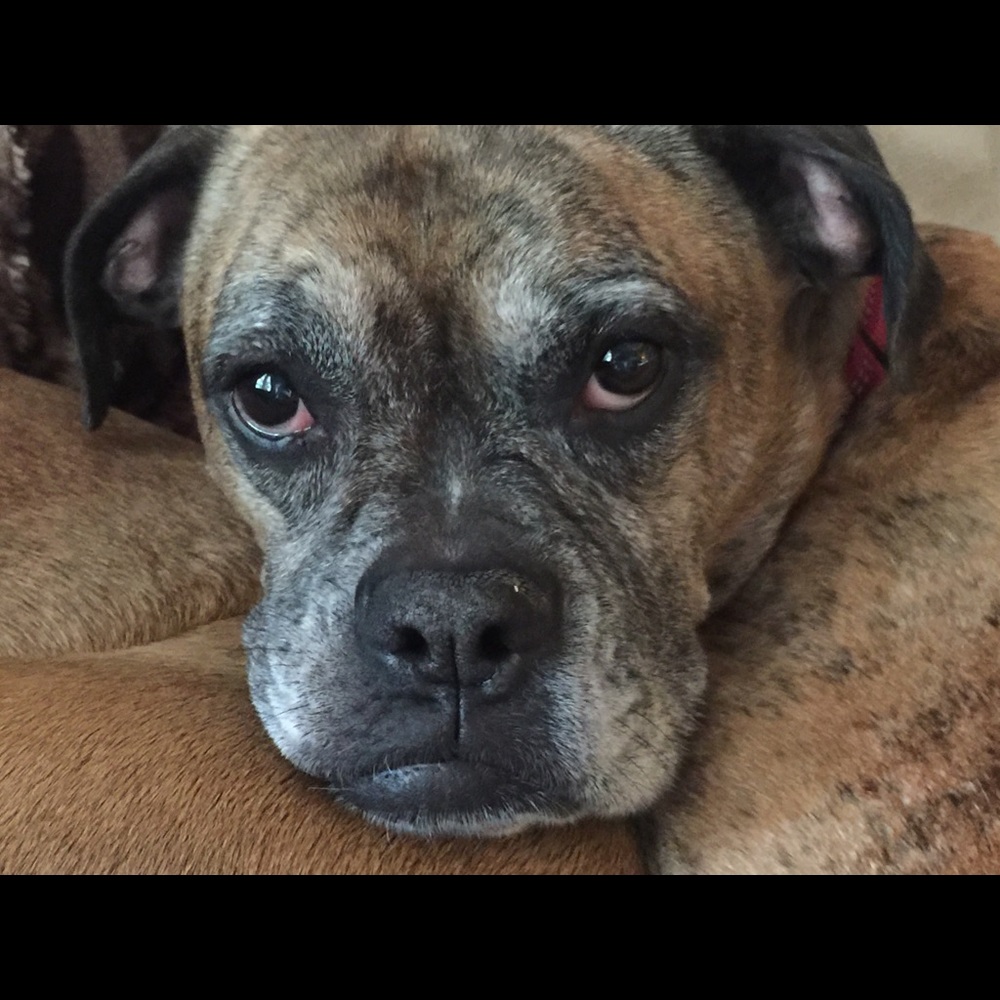 Meet your Posher, Katherine